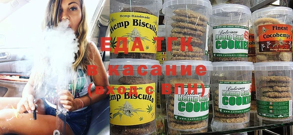 хмурый Алзамай