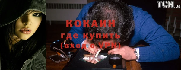 хмурый Алзамай