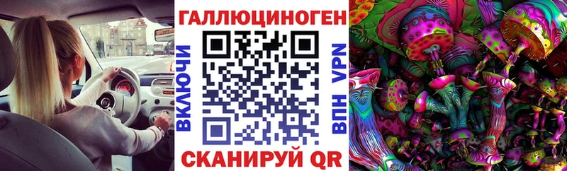 купить наркотик  Бикин  Псилоцибиновые грибы прущие грибы 